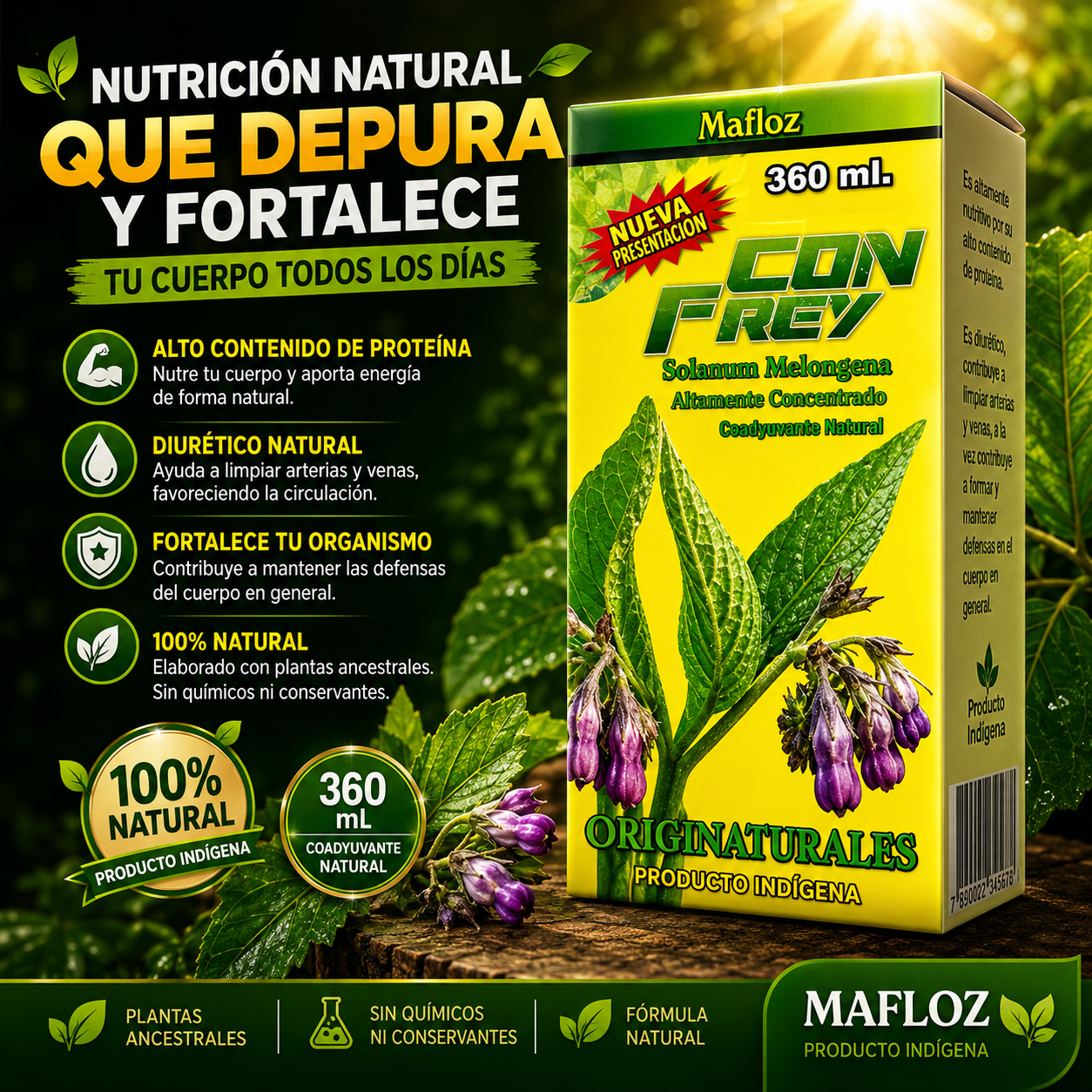 Con Frey Solanum Melongena Mafloz